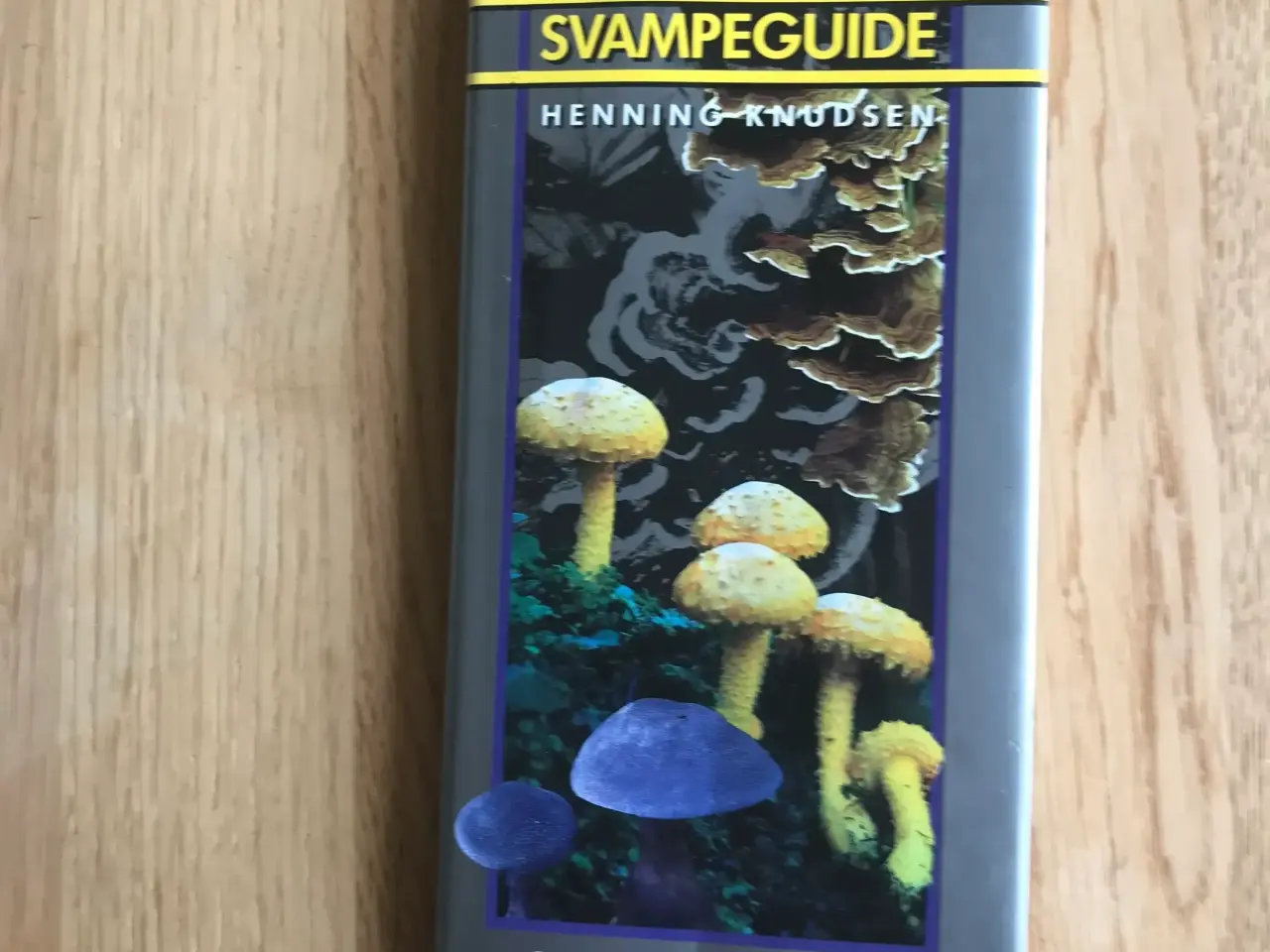 Billede 1 - Politikens Svampeguide