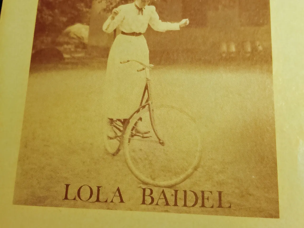 Billede 1 - Lola Baidel: En sagte raslen. Digte.