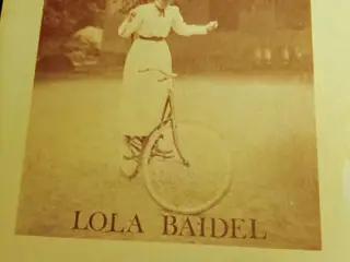 Lola Baidel: En sagte raslen. Digte.