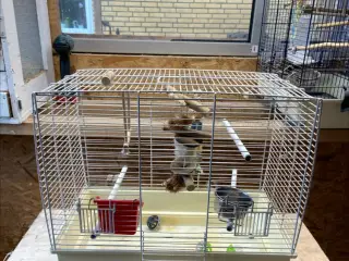 Fuglebur 