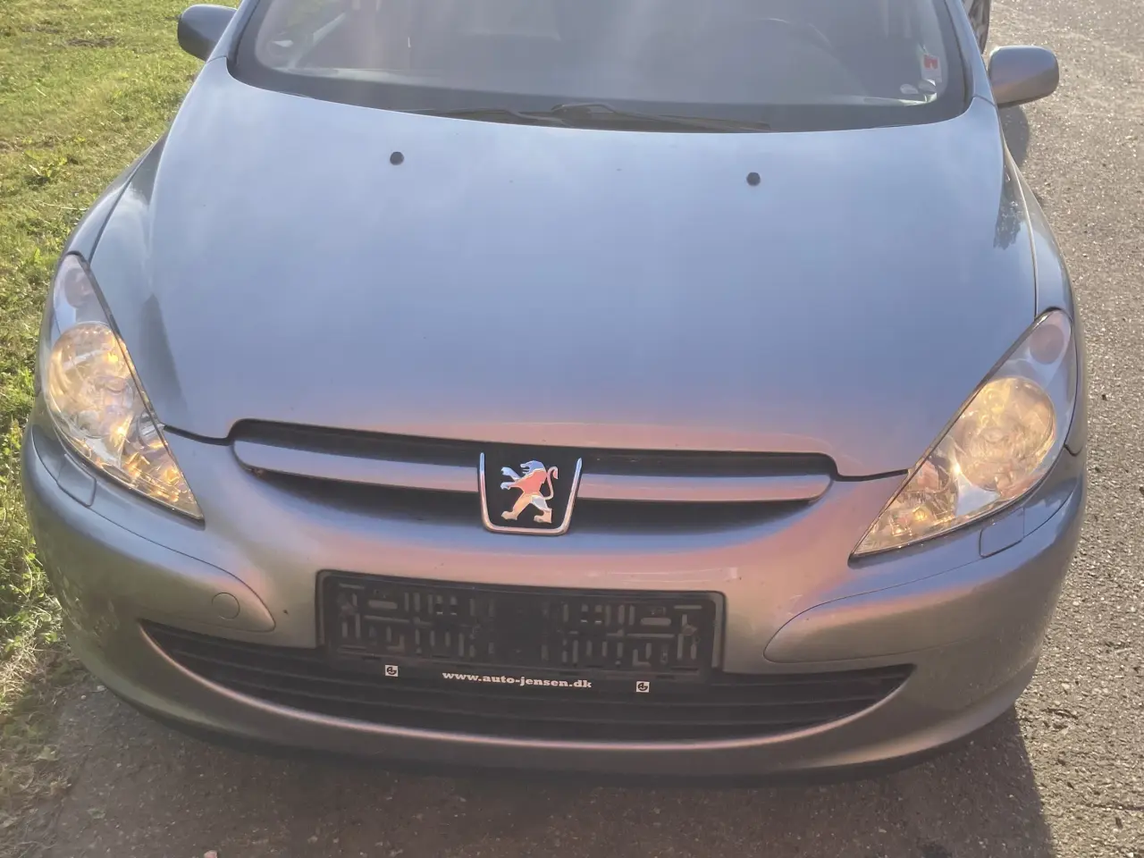 Billede 1 - Peugeot 307