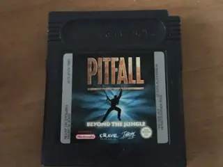 Pitfall: Beyond The Jungle