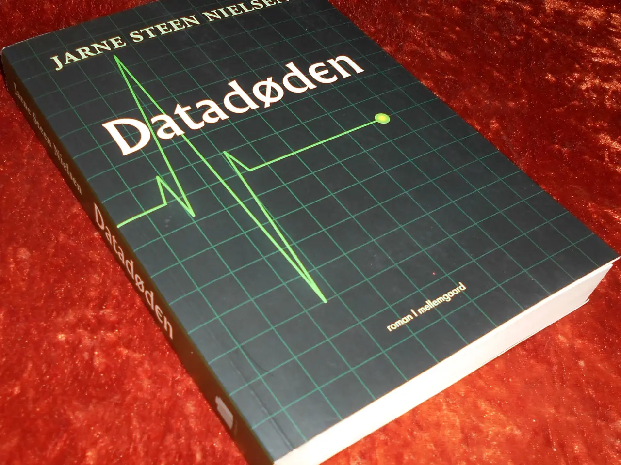 Billede 1 - Datadøden, Jarne Steen Nielsen