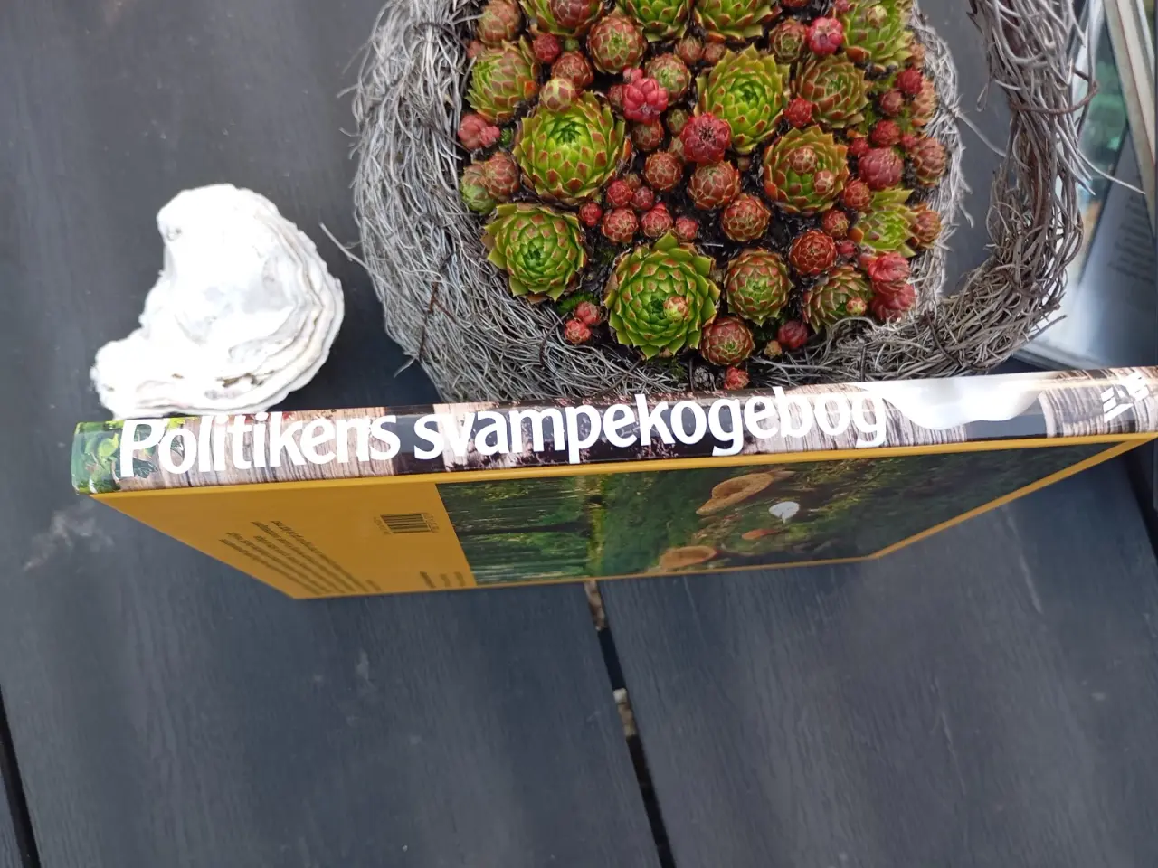 Billede 3 - Poiltikens Svampe Kogebog