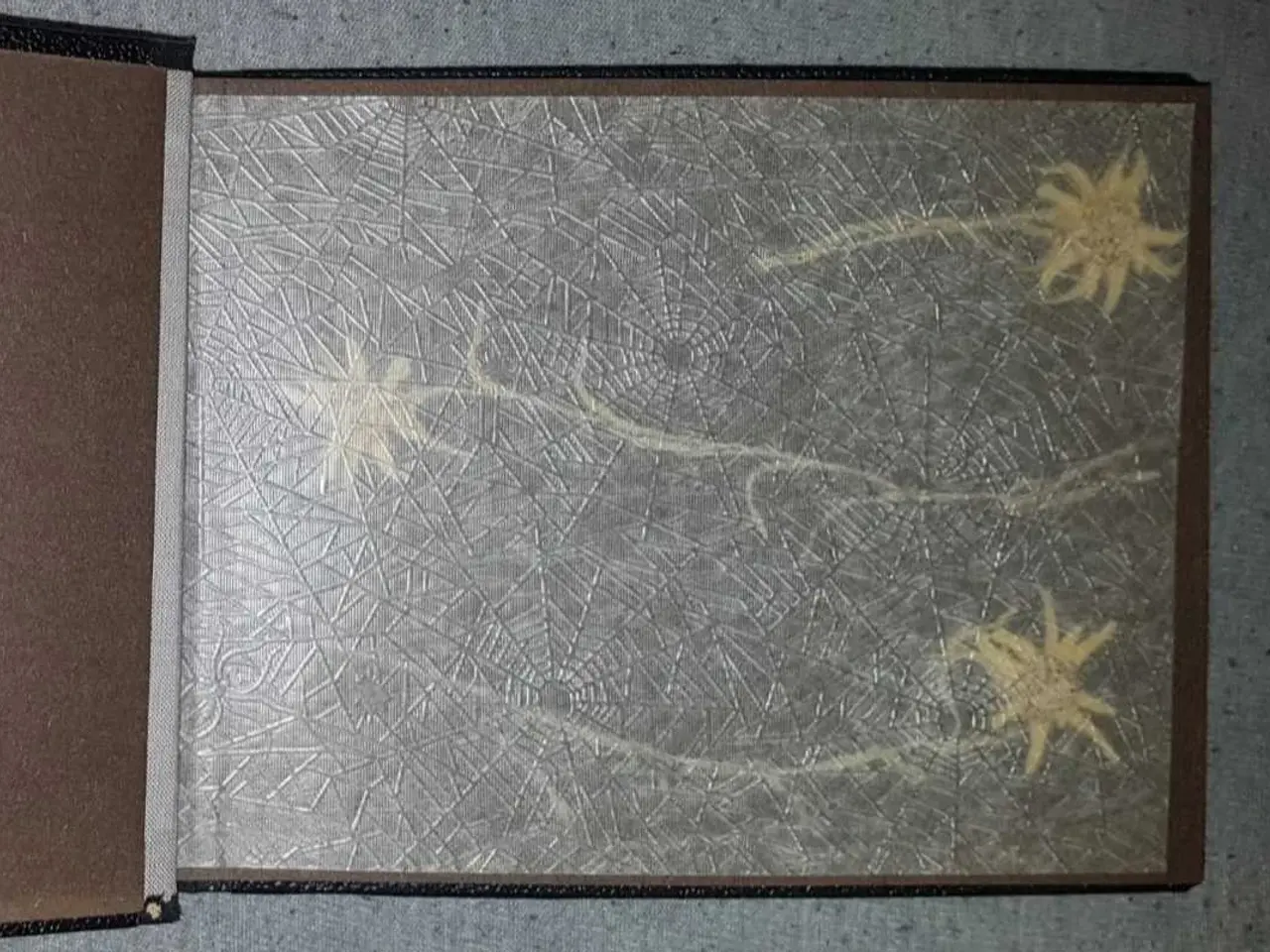 Billede 4 - Fotoalbum fra Østrig