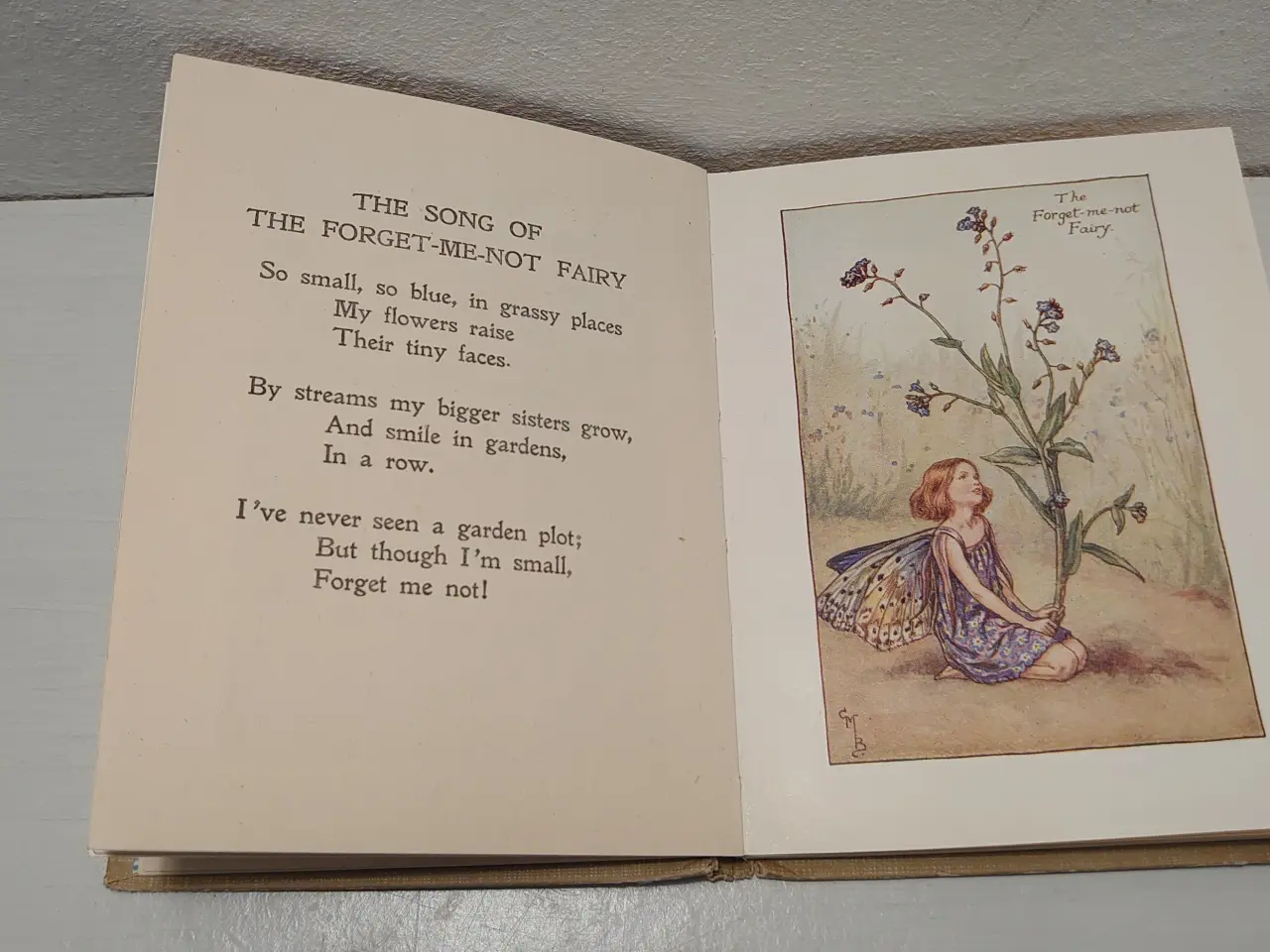 Billede 4 - Cicely Mary Barker:Flower Fairies of the Summer.