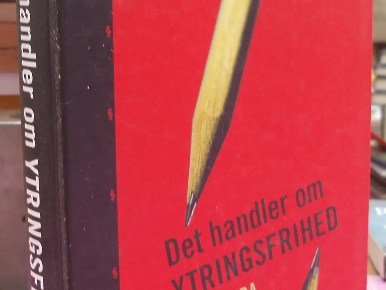 Billede 1 - Det handler om ytringsfrihed