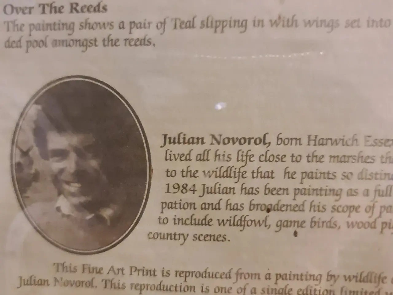 Billede 10 - Julian Novorol – signeret og nummereret kunsttryk