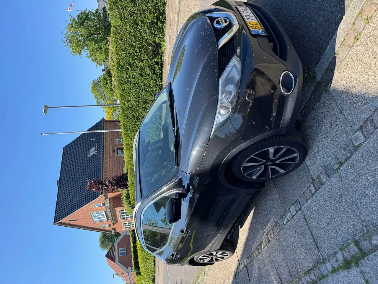 Billede 1 - God papegøje Qashqai