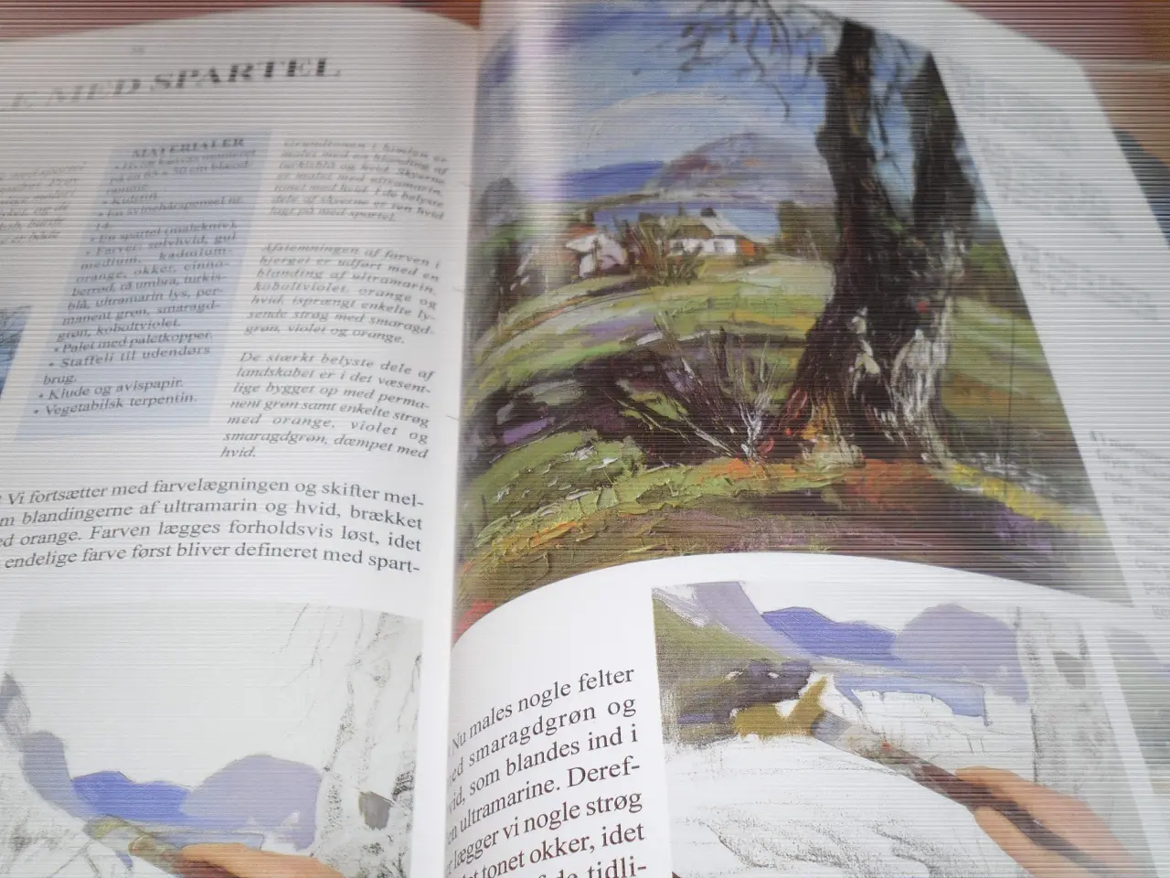 Billede 4 - Hernov. BYD. LANDSKABER I OLIE.