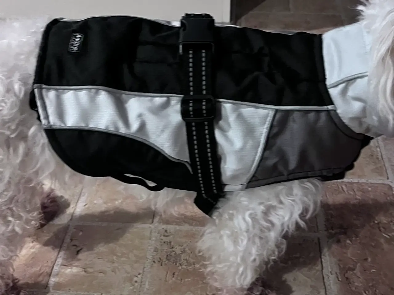 Billede 1 - Hundevest