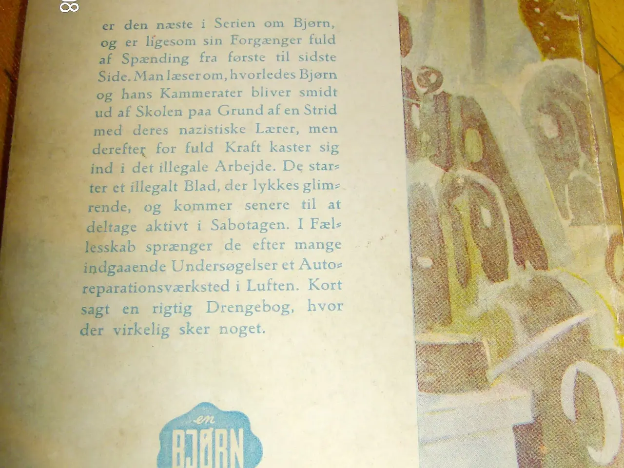 Billede 3 - Bjørn går under jorden