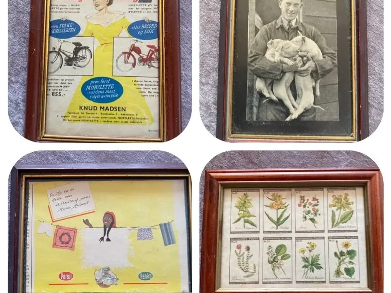 Billede 1 - 4 billeder i ramme