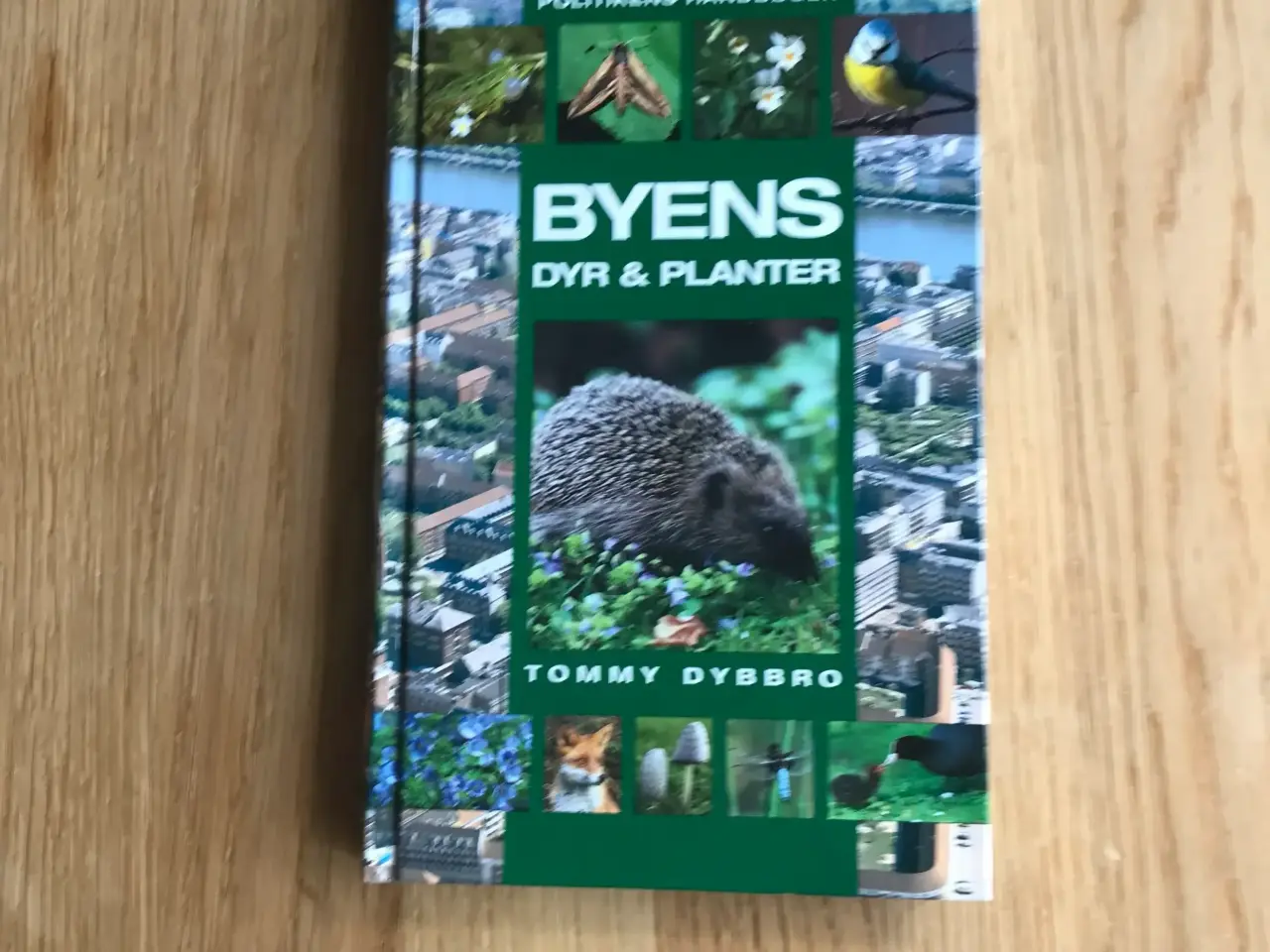 Billede 1 - Byens Dyr & Planter af Tommy Dybbro
