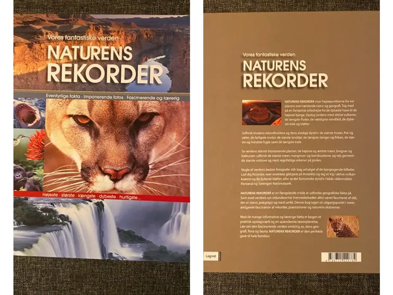 Billede 2 - Bog Naturens Rekorder