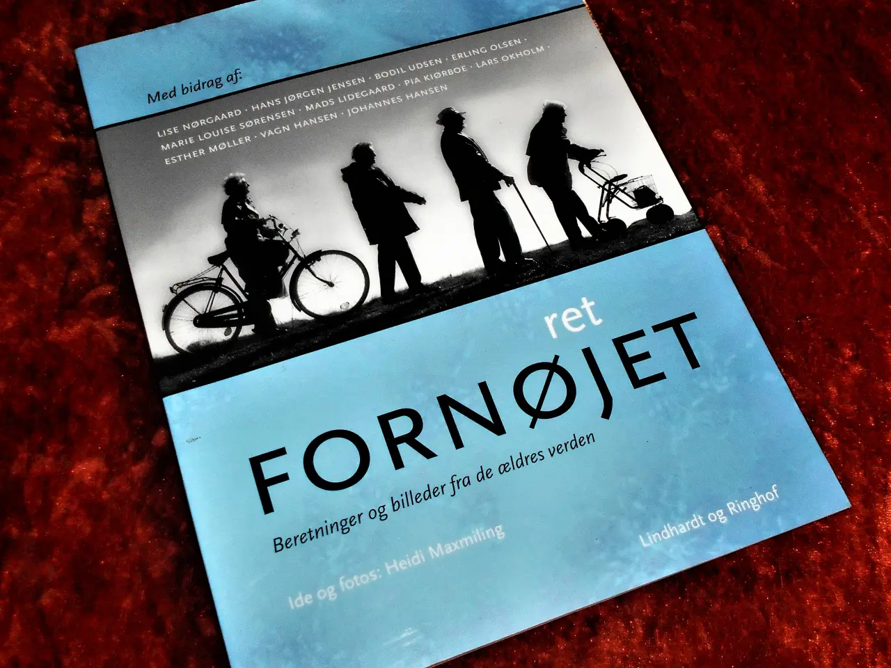 Billede 1 - Ret fornøjet, Heidi Maxmiling