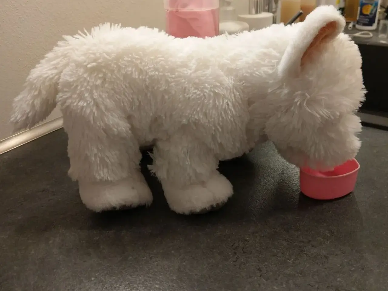 Billede 5 - Westie toyboy/girl