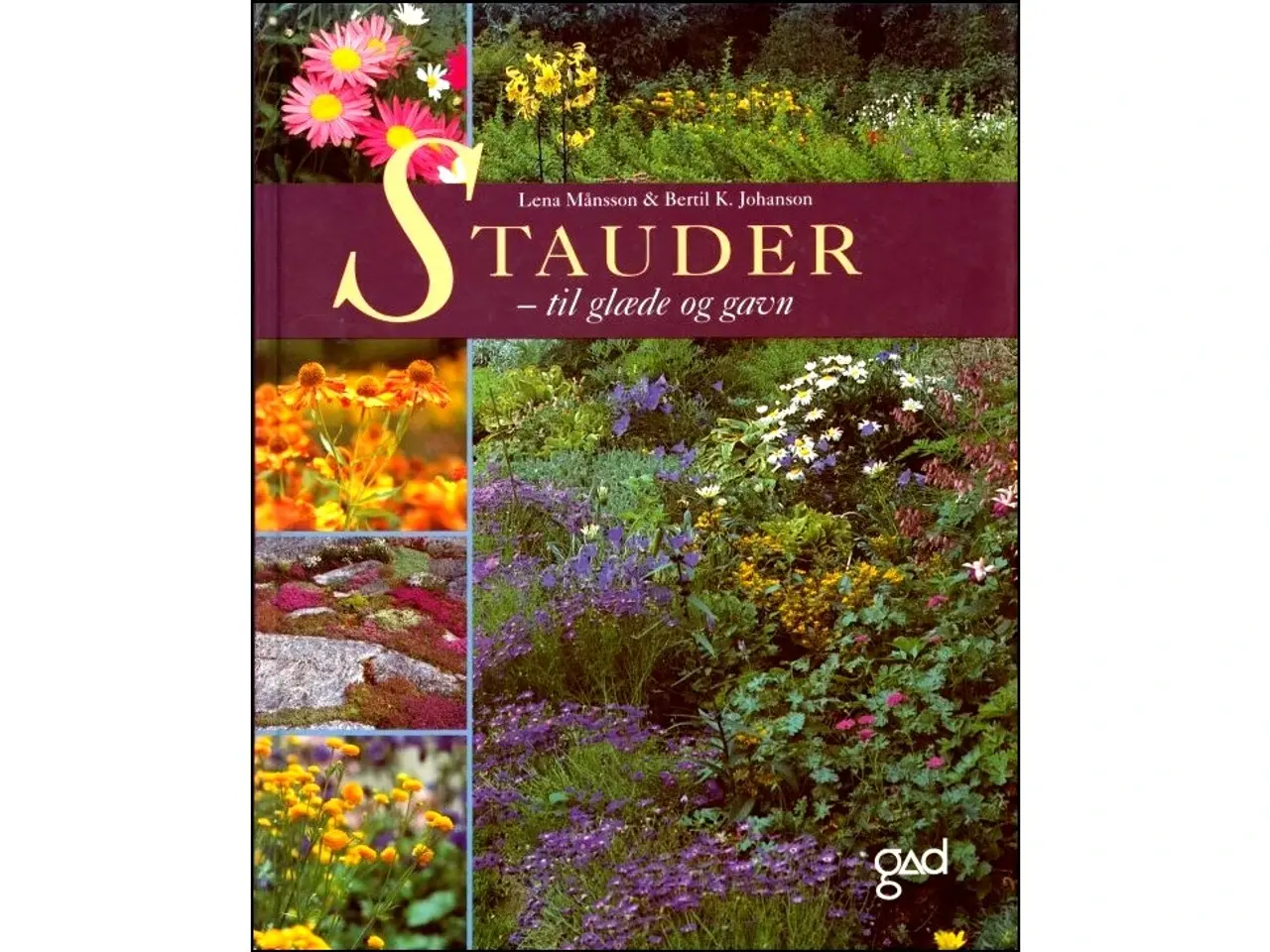 Billede 1 - Stauder - til gavn og glæde