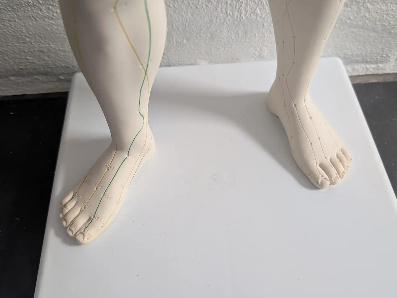 Billede 4 - Anatomisk akupunkturmodel (mand) fra 3B Scientific