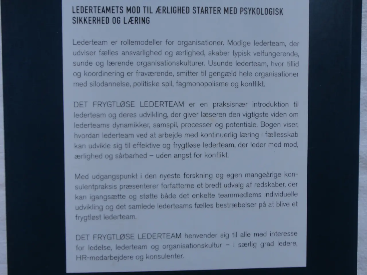 Billede 4 - Det Frygtløse Lederteam  :