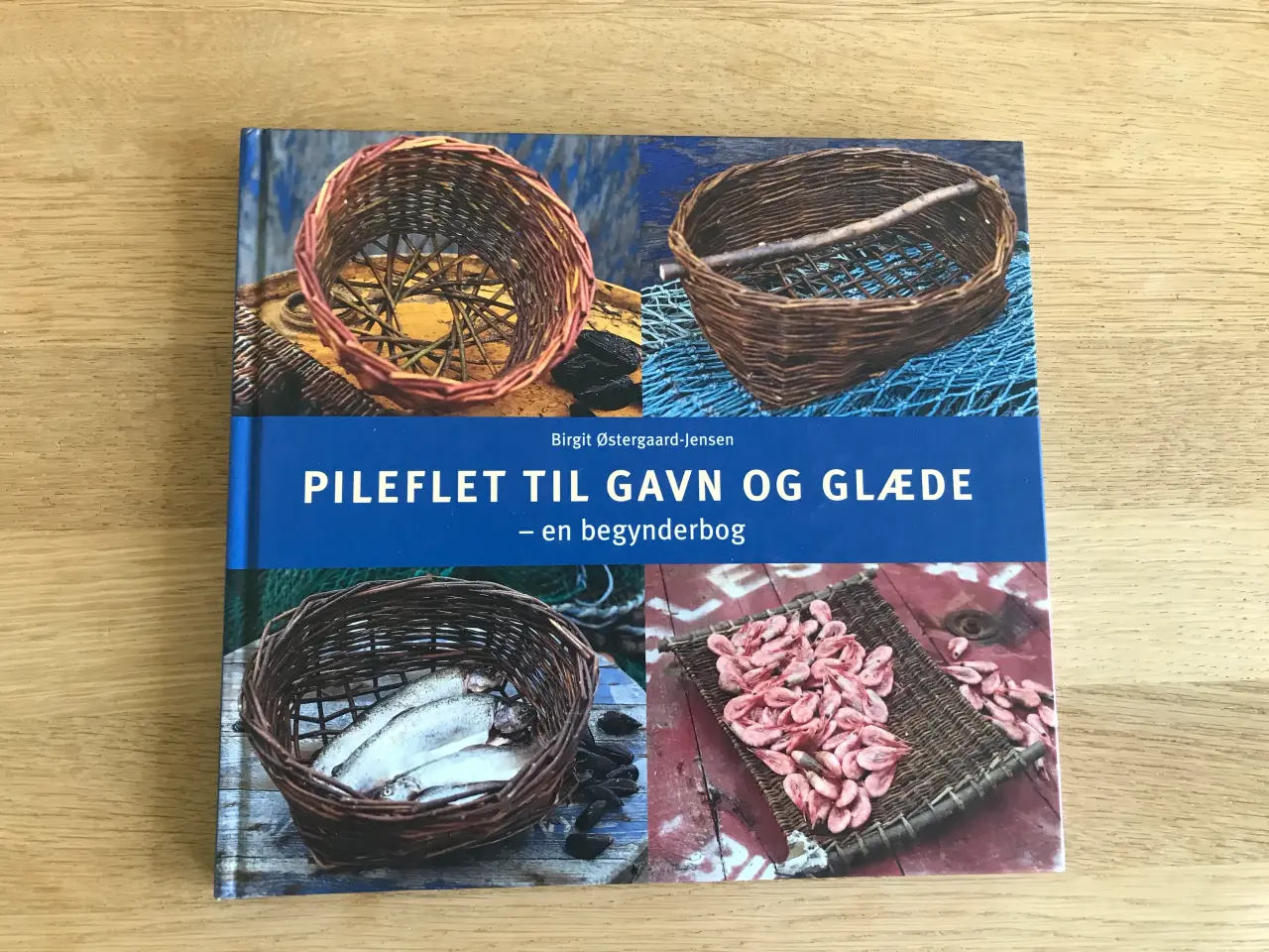 Billede 1 - Pileflet Til Gavn og Glæde - en begynderbog