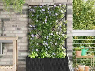 Plantekasser med espalier, 2 stk. - sort PP, 80 × 40 × 143 cm
