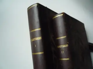 Tilskueren, Tidsskrift, af Poul Levin
