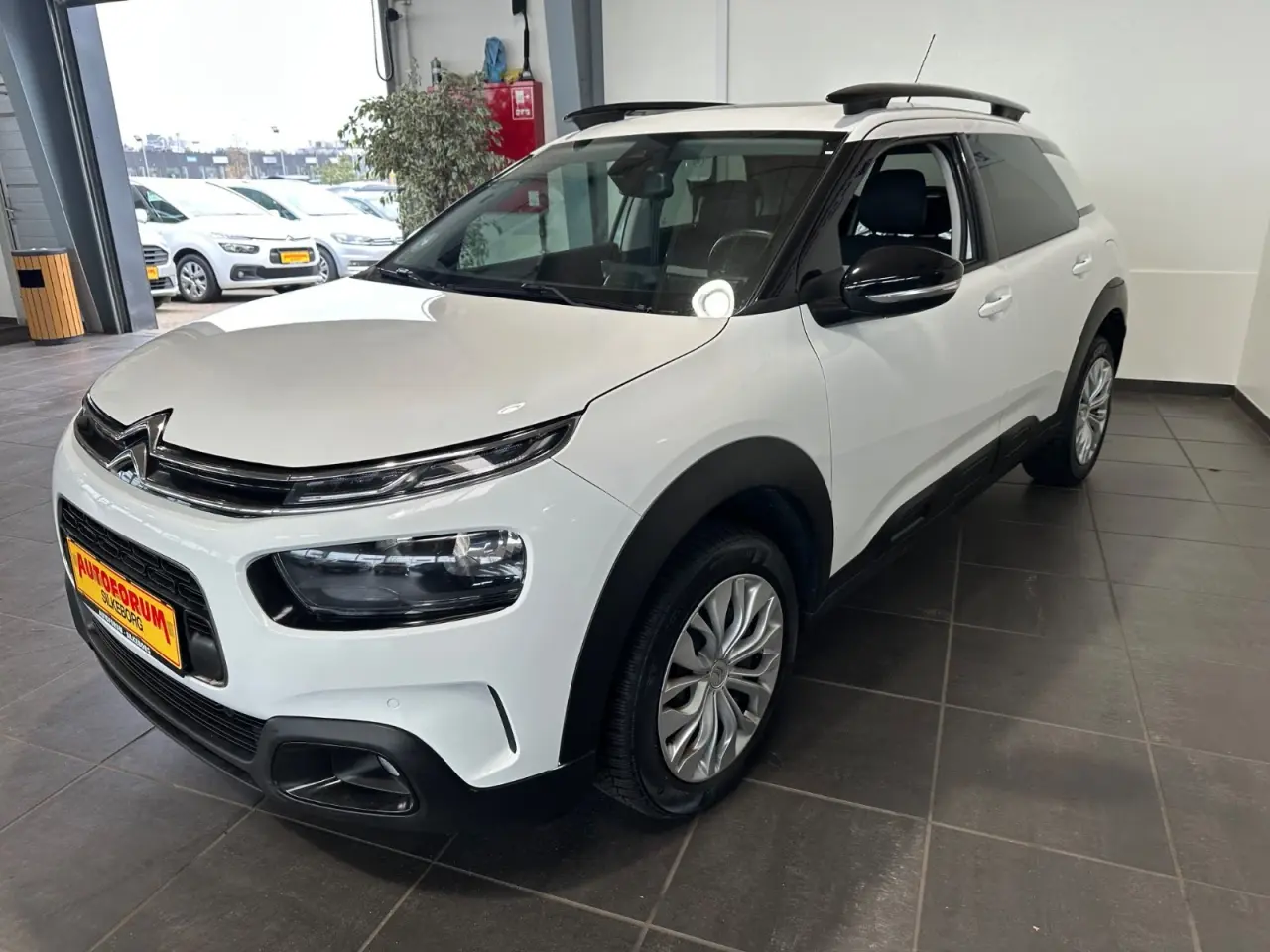 Billede 3 - Citroën C4 Cactus 1,5 BlueHDi 100 SkyLine Van