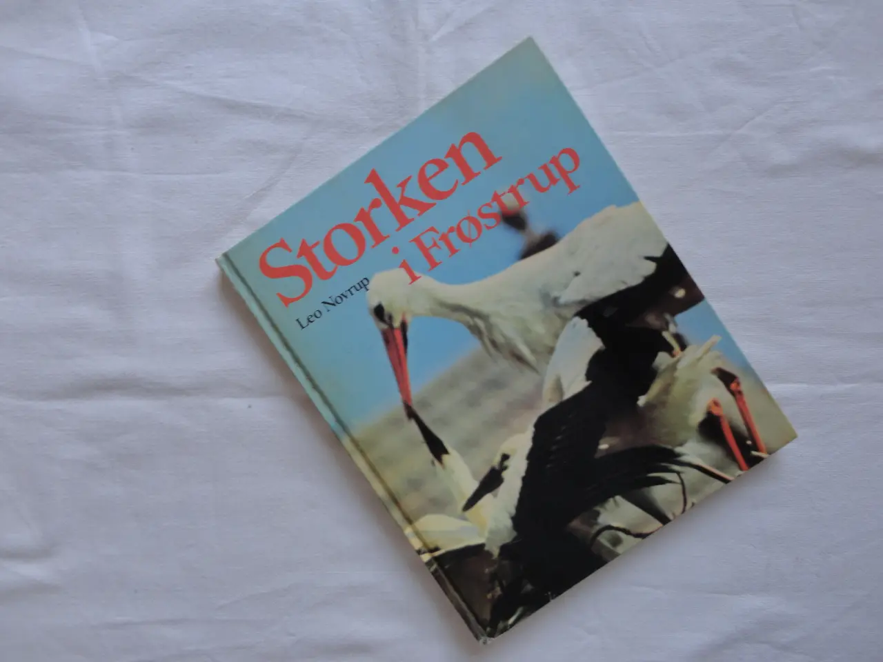 Billede 1 - Storken i Frøstrup  :