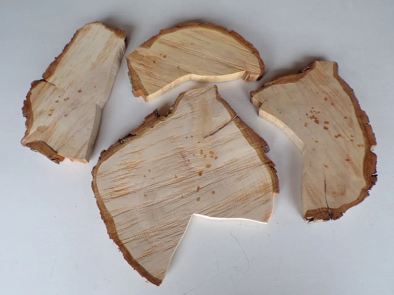 Billede 1 - 4 Thuja Træskiver med bark i skæve faconer