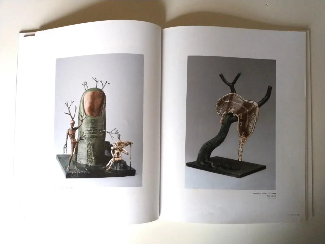 Billede 3 - Salvador Dalí. Redaktion Anette Østerby