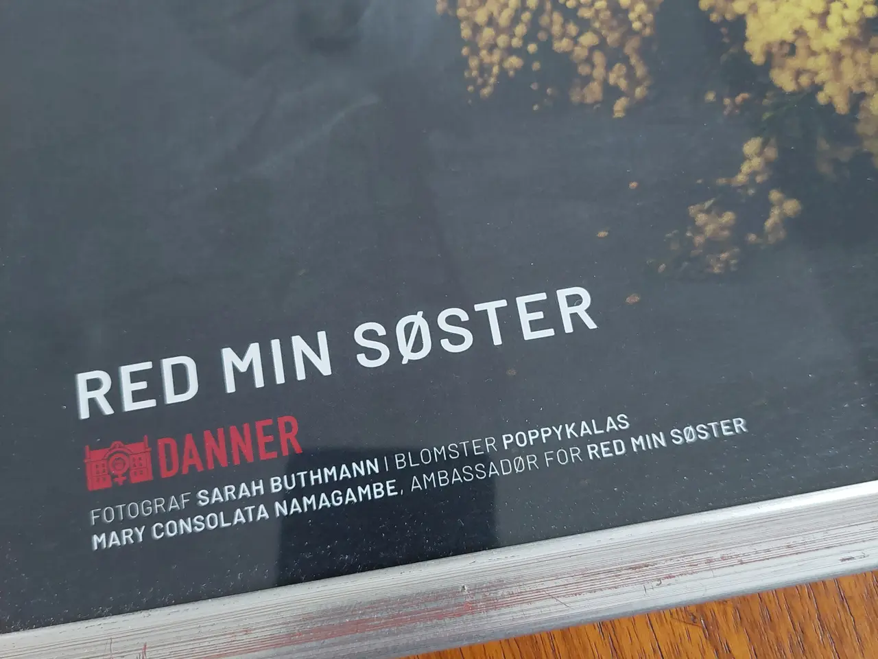 Billede 2 - DANNER RED MIN SØSTER – Plakat i træ/glasramme