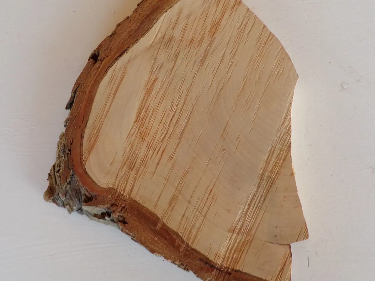 Billede 3 - NY Thuja Træskive 22 cm til kreative projekter