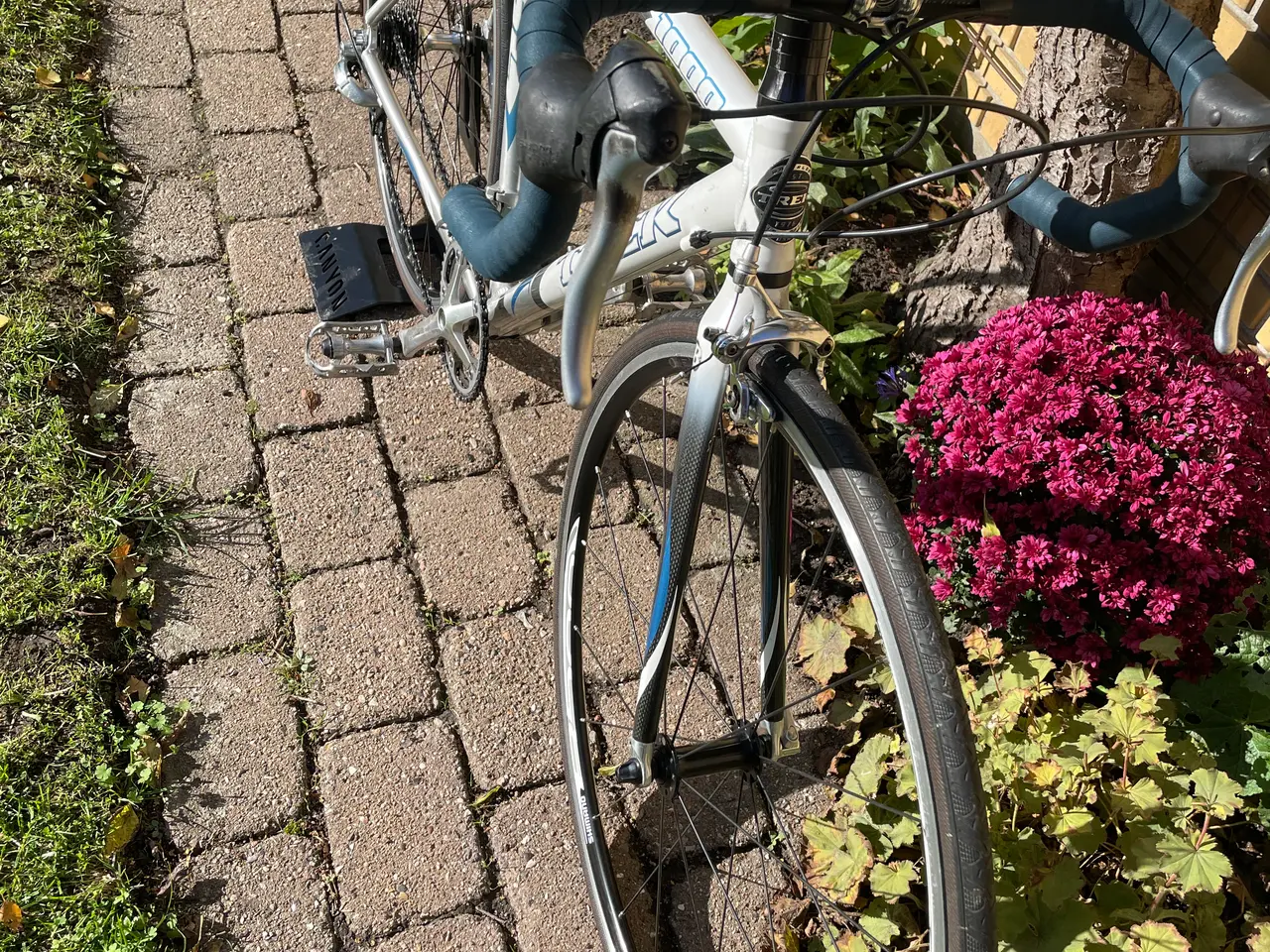 Billede 6 - Hurtig og let-velholdt racercykel - Trek 1000 Alph