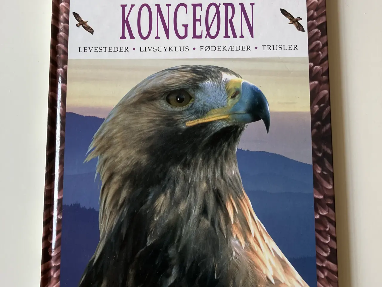 Billede 1 - Kongeørn - levesteder, livscyklus, fødekæder, trus