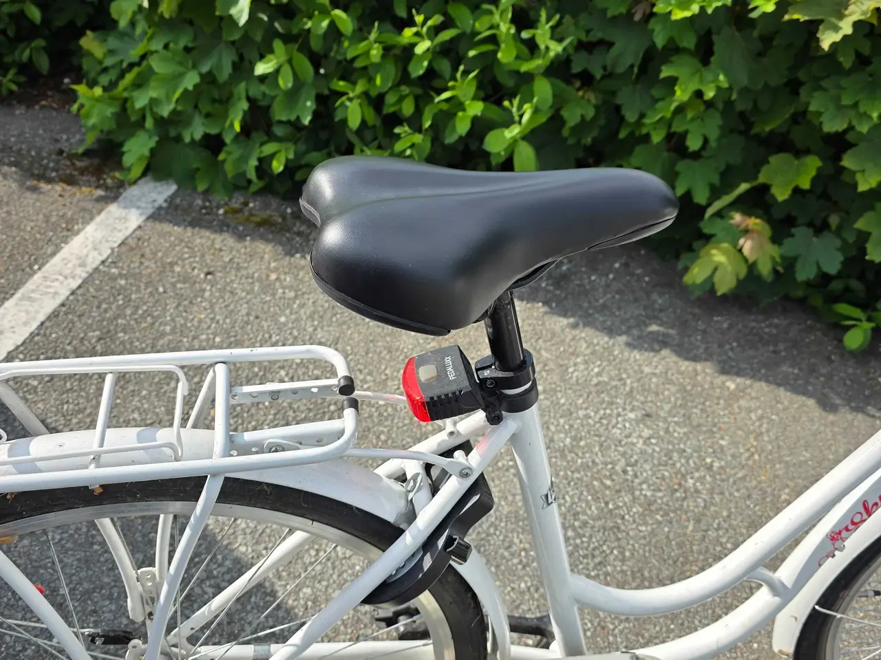 Billede 3 - Pigec ykel 