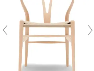 Wegner y-stole eg
