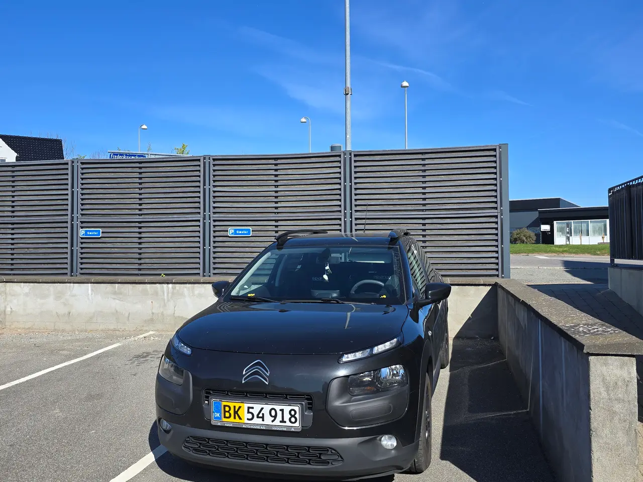 Billede 2 - C4 cactus van 1.6 d manual