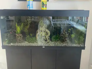 Juwel akvarie