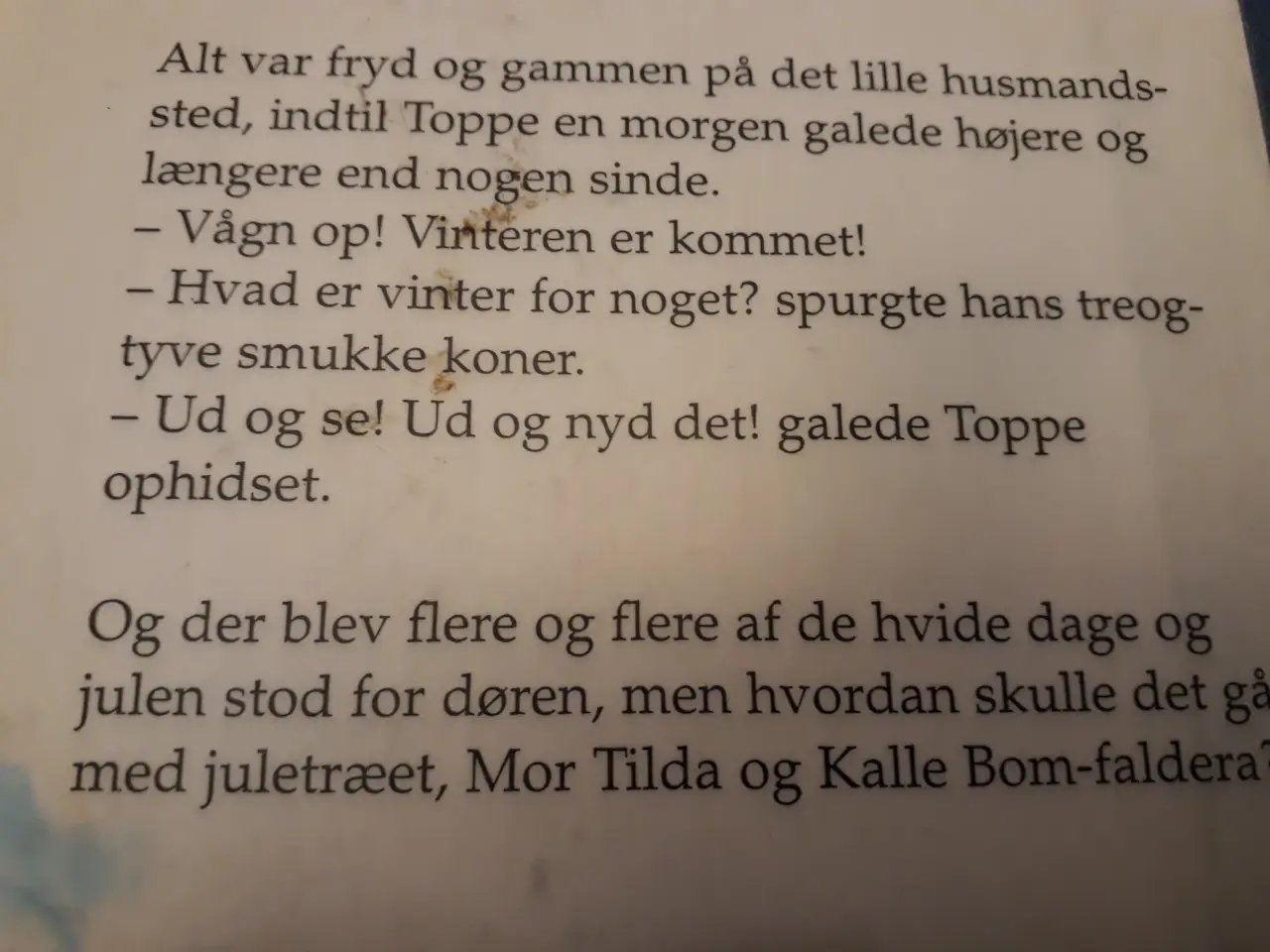 Billede 7 - 2 Julebøger