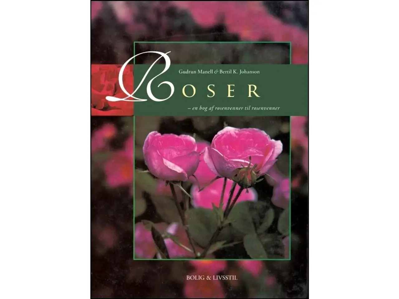 Billede 1 - Roser