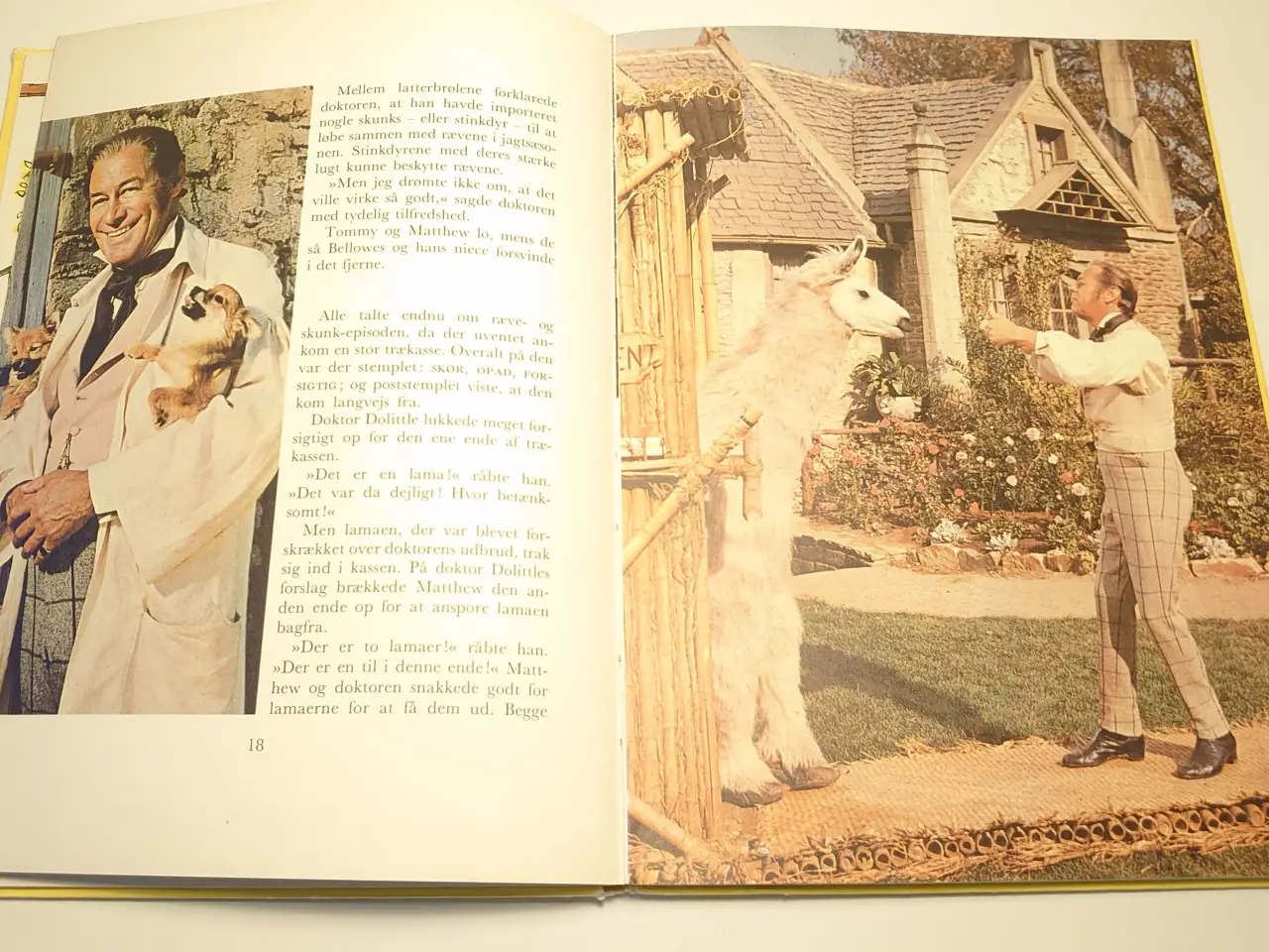 Billede 3 - Hugh Lofting: Doktor Dolittle og hans Venner.