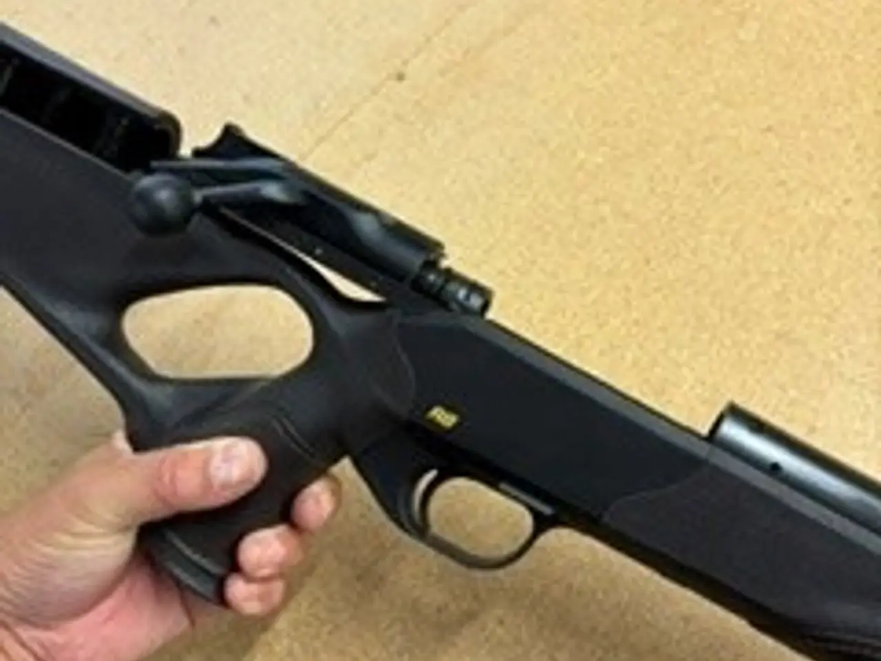 Billede 3 - Blaser R8 Ultimate Silence Leather inkl. 30-06