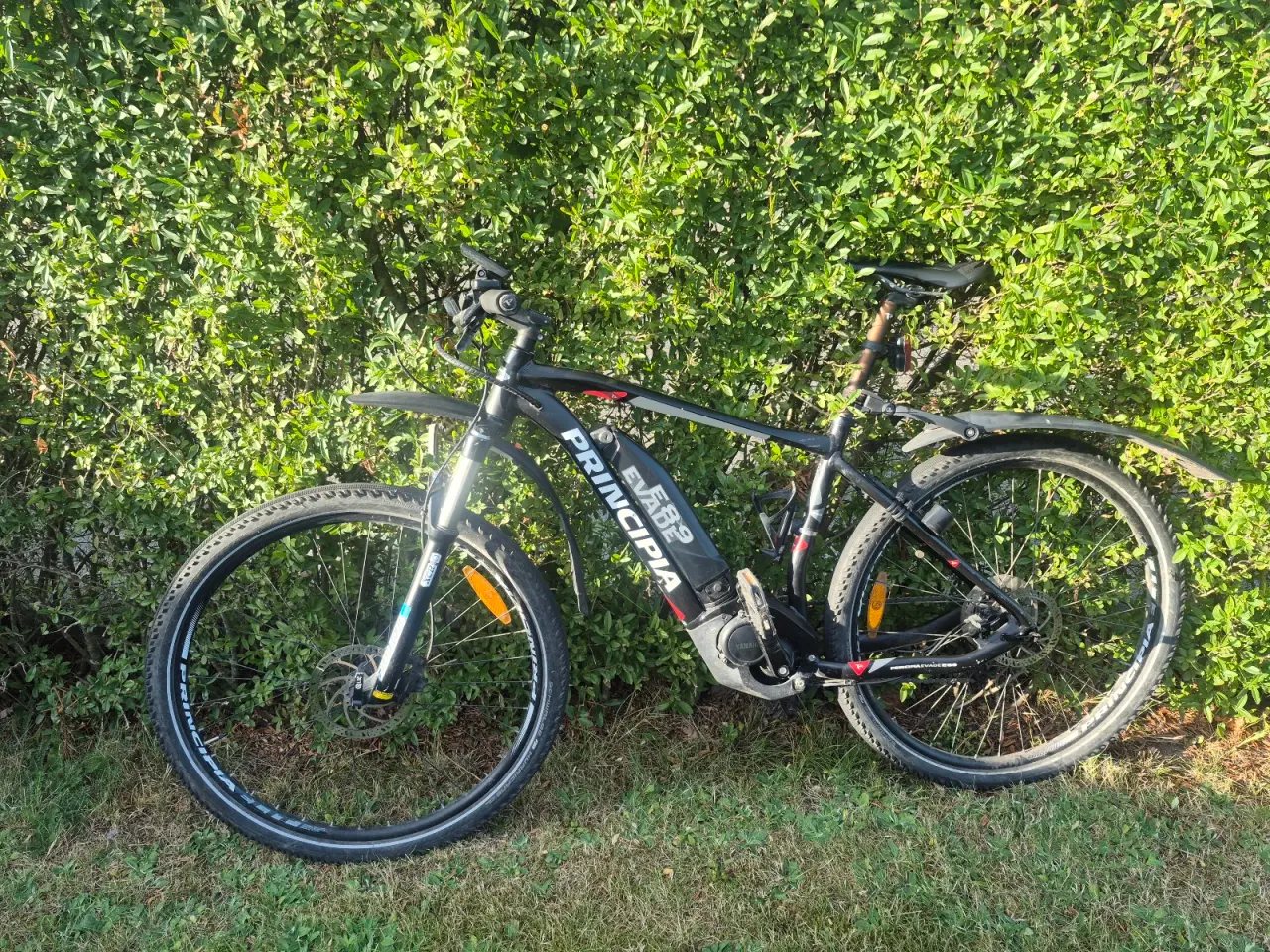 Billede 6 - El mtb til salg.