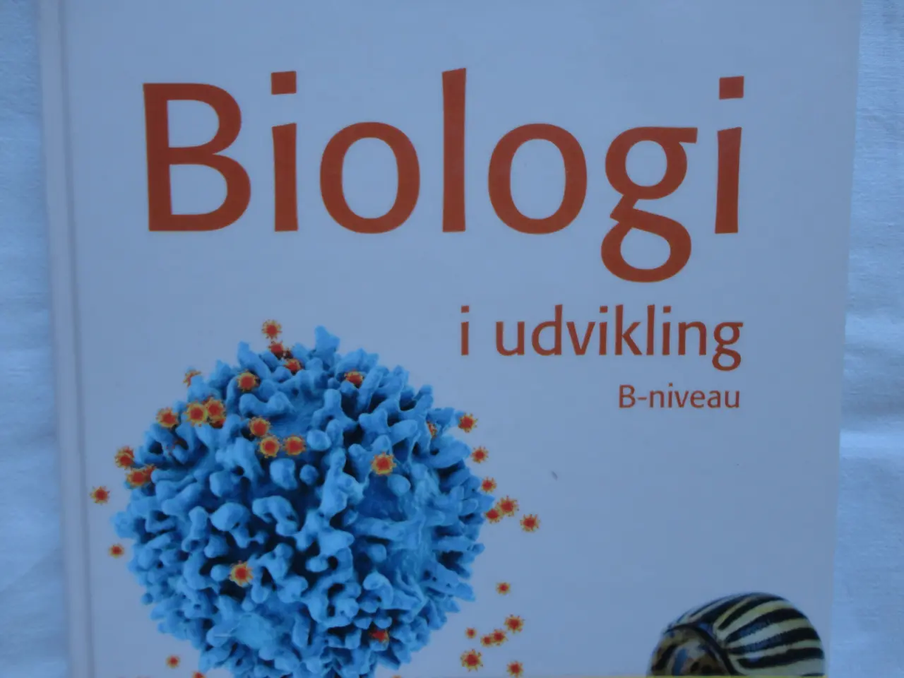 Billede 1 - Biologi i udvikling - B-niveau :