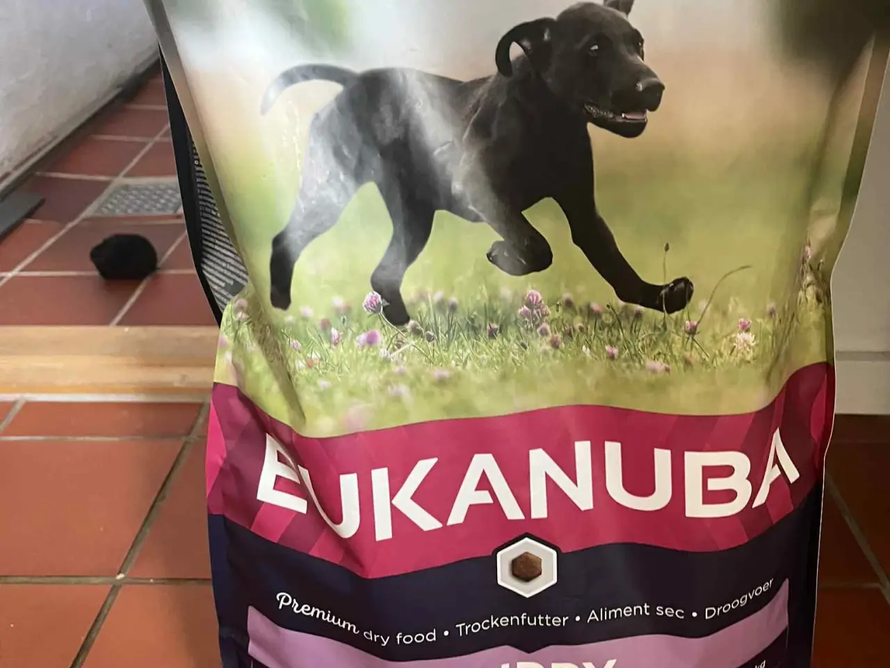 Billede 4 - Hundeting til salg