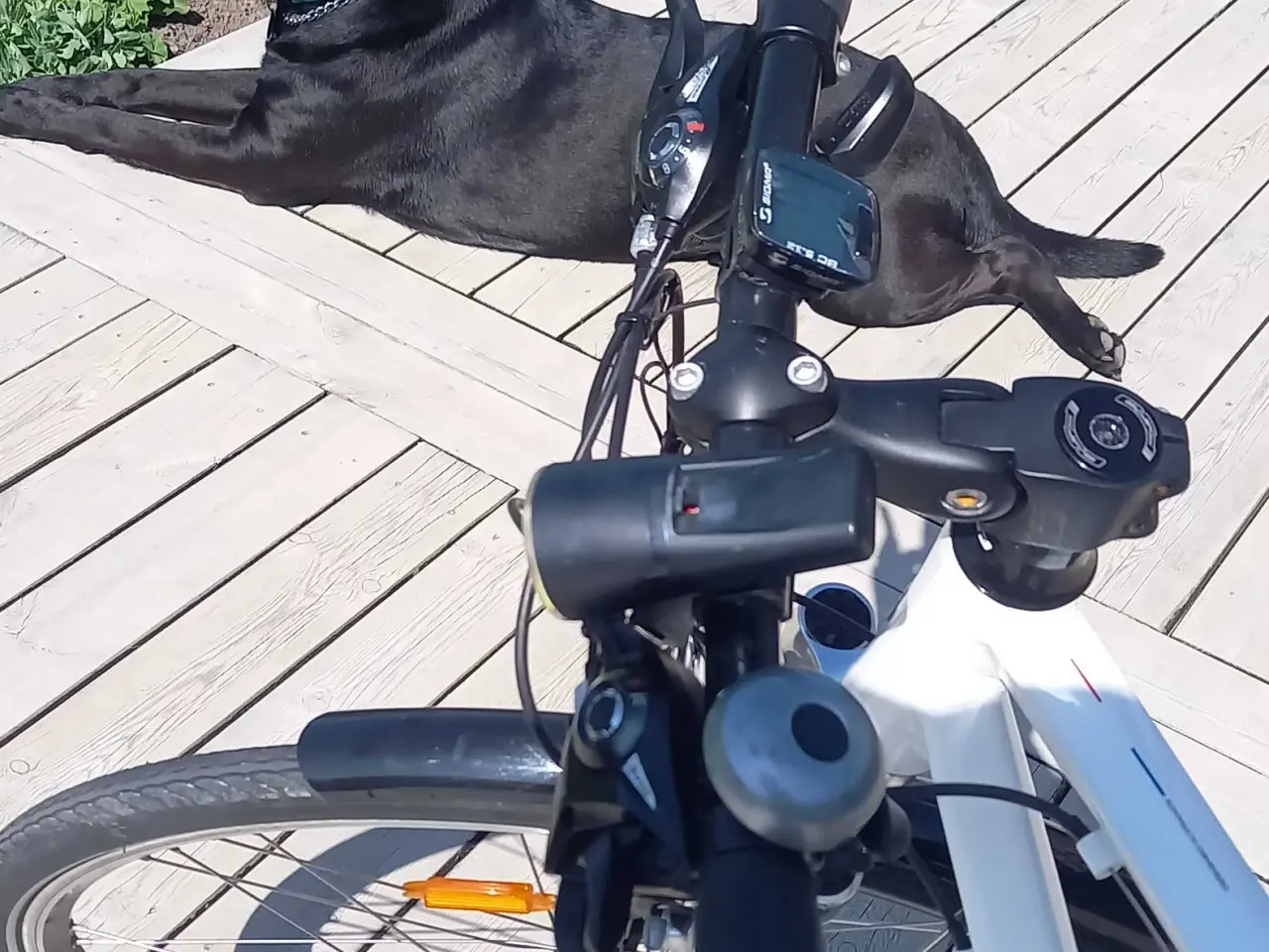 Billede 4 - Peugeot cykel 