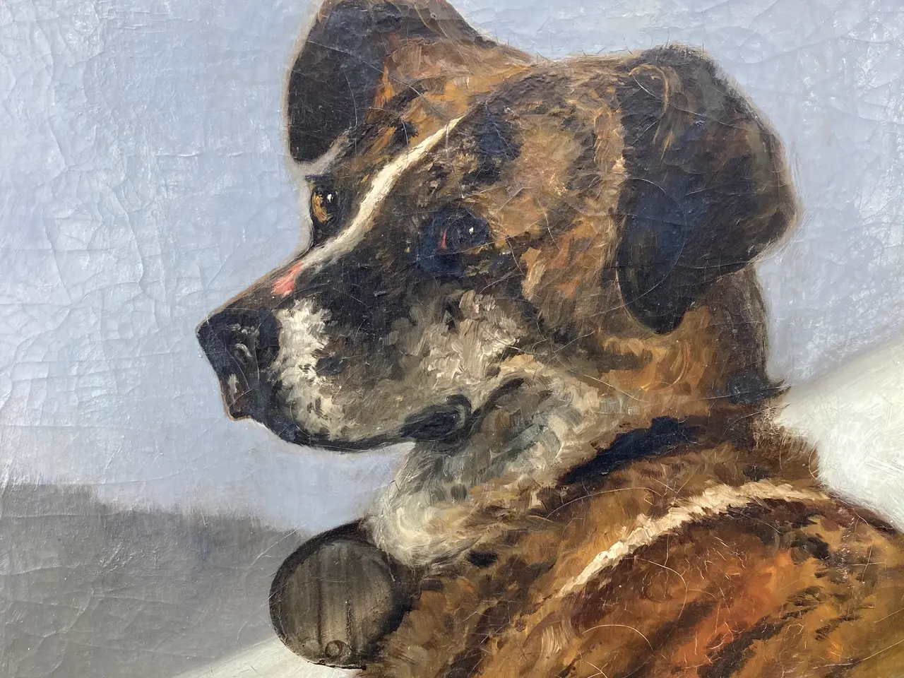 Billede 2 - Maleri af hund sankt Bernhard