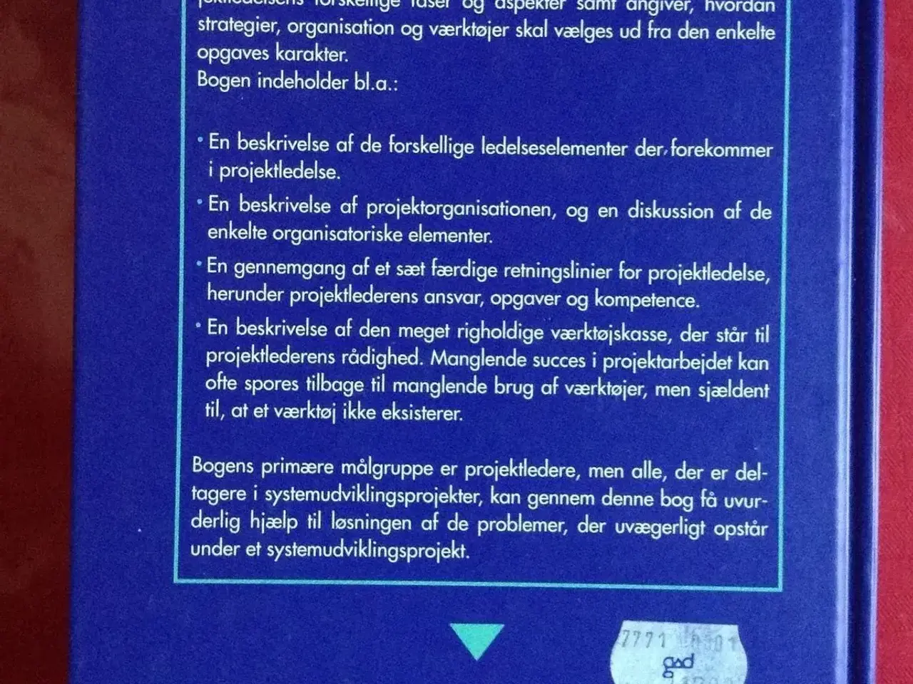 Billede 2 - Projektedelse af systemudvikling