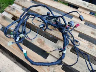 Zzr 1100 D hovedledningsnet